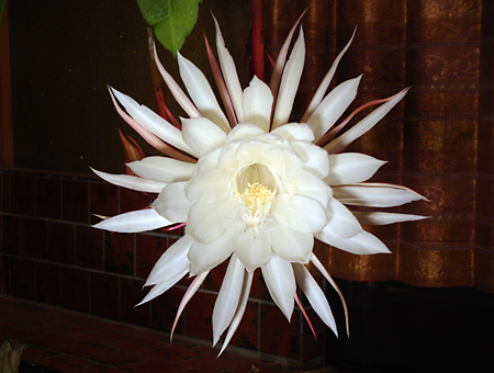 2011-1